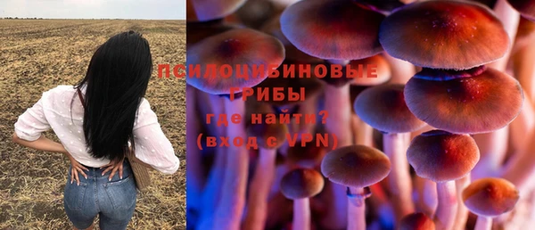 МДПВ Балахна