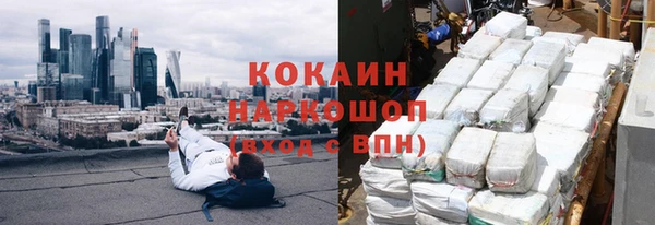 хмурый Арсеньев