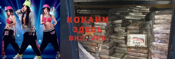 хмурый Арсеньев