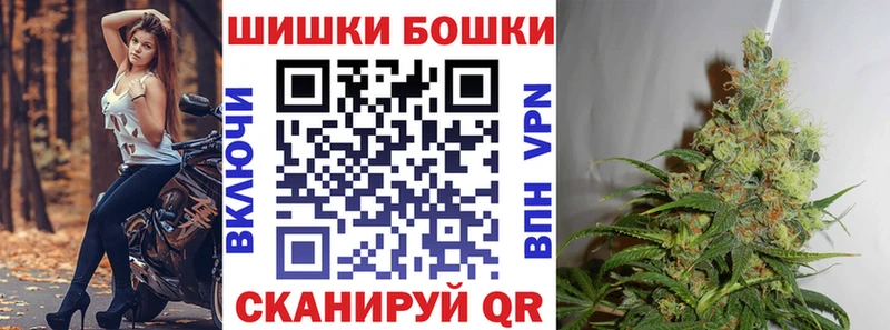 где найти   Игра  мориарти клад  Канабис сатива 